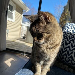 Meet your Posher, Olivia